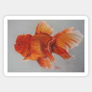 Red Goldfish Sticker